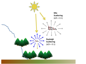 Rayleigh scattering and Mie scattering caused by VOCs emitted by forests.